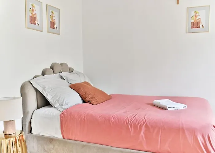 Petit Voltaire Nation *