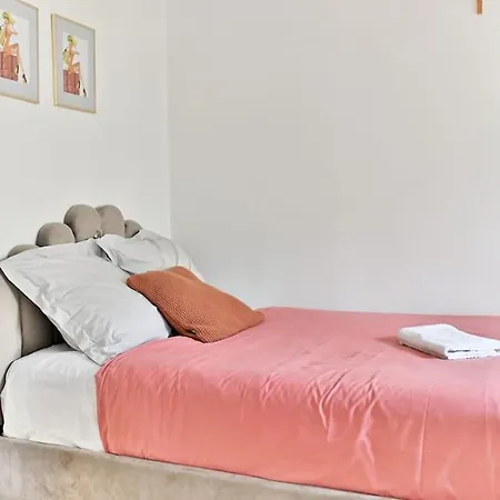 Petit Voltaire Nation *